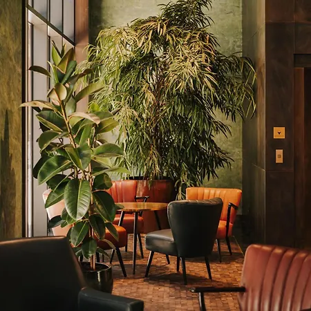 ホテル The Cyrus 5*